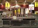 lego-world-2009-383-moc-nxt.jpg
