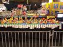 lego-world-2009-088-moc.jpg