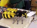 lego-world-2009-126-moc.jpg