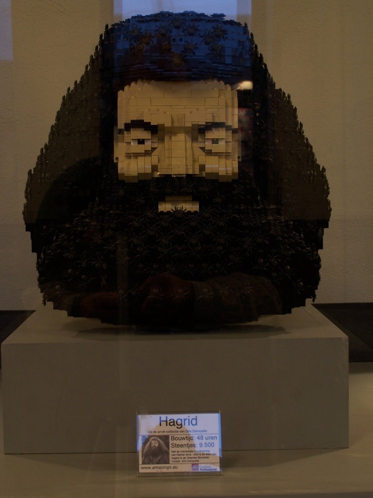 lego-world-2009-456-heads.jpg