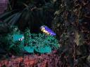 lego-world-2009-484-indiana-jones.jpg