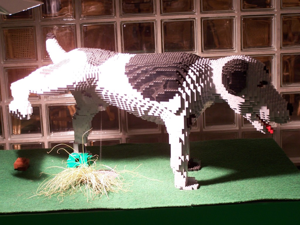 lego-world-2009-591-other-models.jpg