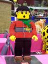 lego-world-2009-580-other-models.jpg