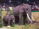 lego-world-2009-629-wild-animals.jpg