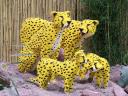 lego-world-2009-631-wild-animals.jpg