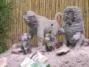 lego-world-2009-633-wild-animals.jpg