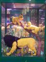 lego-world-2009-650-wild-animals.jpg