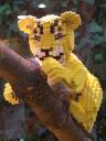 lego-world-2009-654-wild-animals.jpg