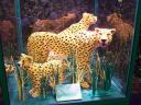 lego-world-2009-663-wild-animals.jpg