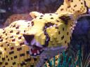 lego-world-2009-664-wild-animals.jpg