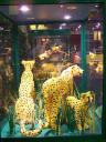 lego-world-2009-665-wild-animals.jpg