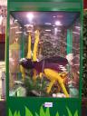 lego-world-2009-670-wild-animals.jpg