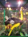 lego-world-2009-671-wild-animals.jpg