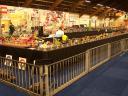lego-world-2010-gbc-003.jpg