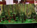 lego-world-2010-177.jpg