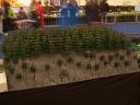 lego-world-2010-lego-world-2010-trains-belug-layout-010.jpg