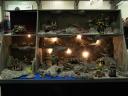 2011-02-19-debouwsteen-nl-054.jpg
