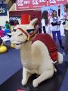2012-04-25-portugal-fan-event-campo-pequena-100.jpg