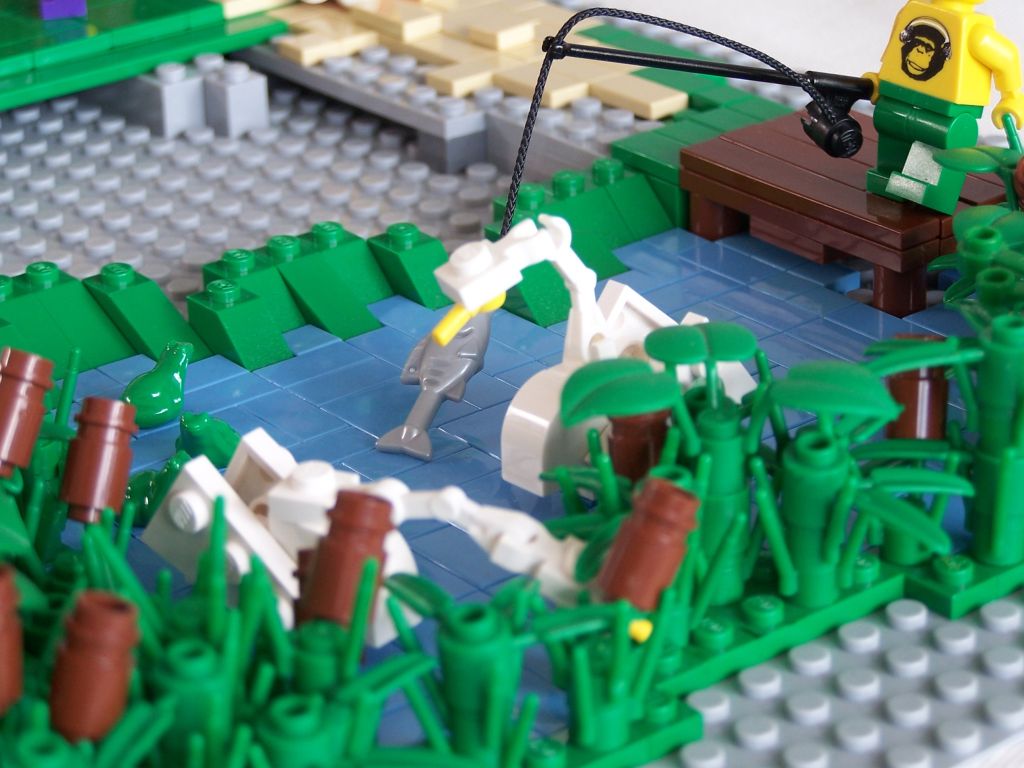 2012-06-02_moc-day_nijmegen_009.jpg