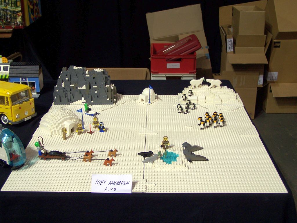2013-11-10-belug-antwerpen-012.jpg