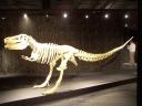 2014-05-28-the-art-of-the-brick-amsterdam-130.jpg