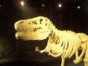 2014-05-28-the-art-of-the-brick-amsterdam-131.jpg