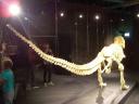2014-05-28-the-art-of-the-brick-amsterdam-133.jpg