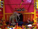 2014-06-08-debouwsteen-nl-aalsmeer-062.jpg