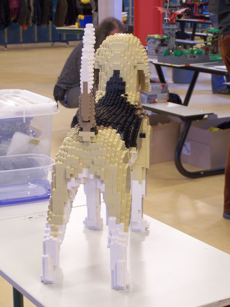2015-03-01_lowlug_lelystad-041.jpg