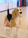 2015-03-01_lowlug_lelystad-036.jpg