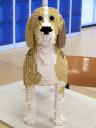 2015-03-01_lowlug_lelystad-037.jpg