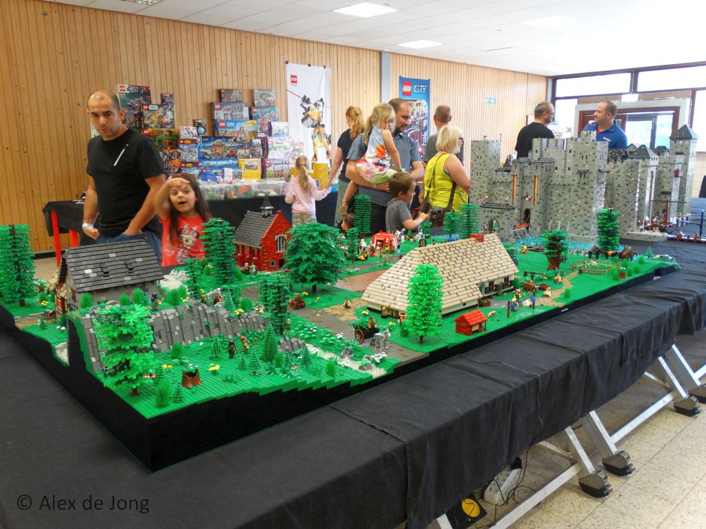 2015-08-29-belug-brickmania-helchteren-013.jpg