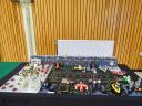 2015-08-29-belug-brickmania-helchteren-075.jpg
