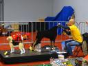legoworld2015-124.jpg