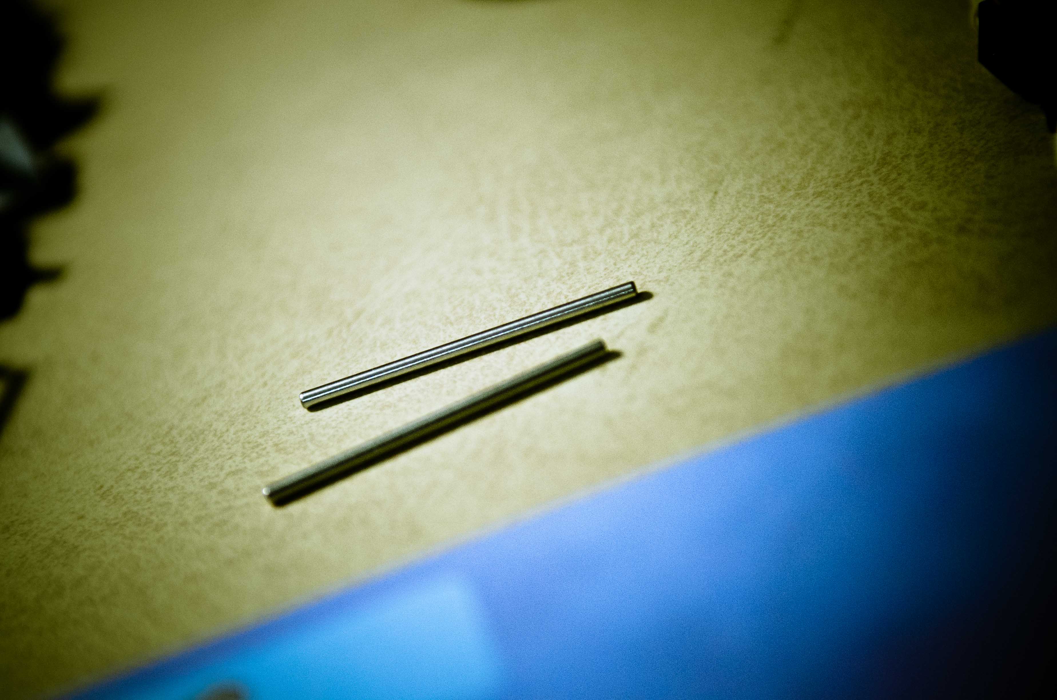 leo_4564.jpg