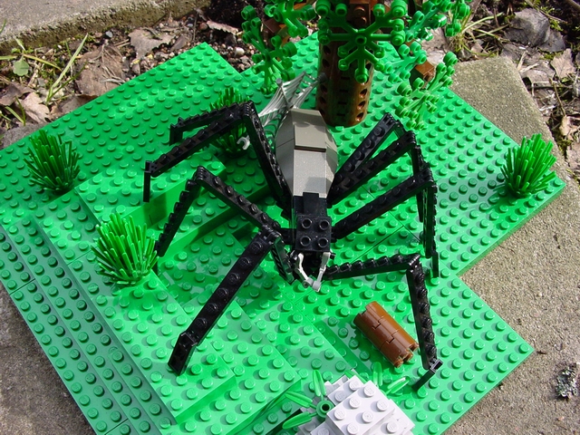 largespider01.jpg