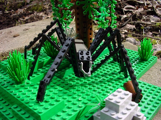 largespider02.jpg