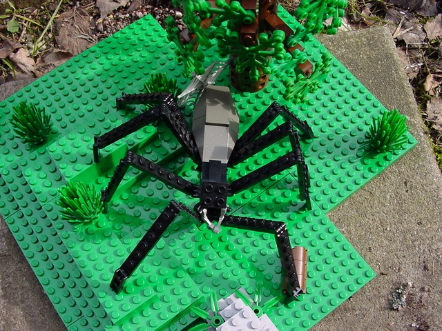 largespider03.jpg