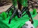 largespider02.jpg