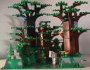 forestroad.jpg