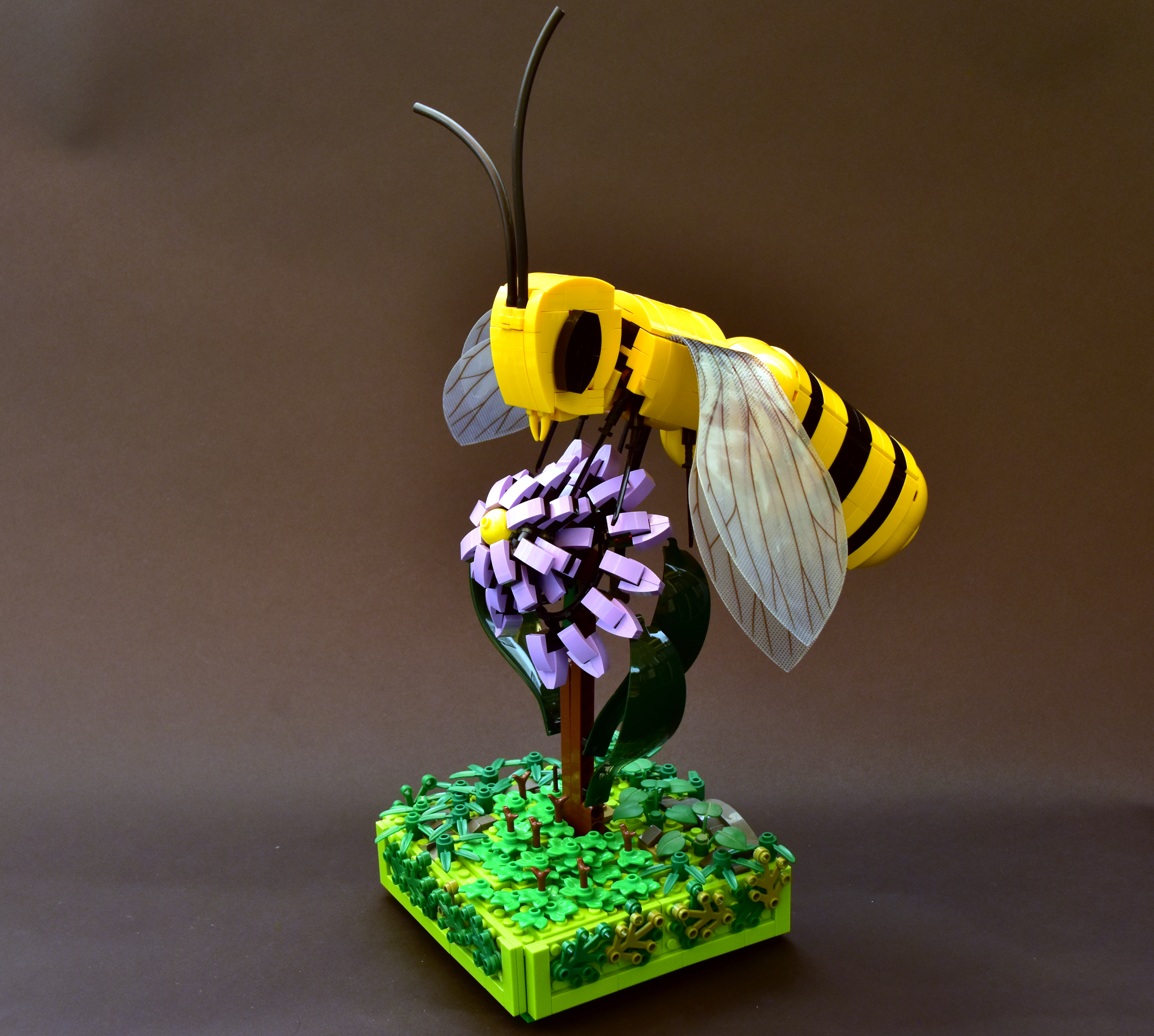 Bee_1b_-_Copie_-_Copie.JPG