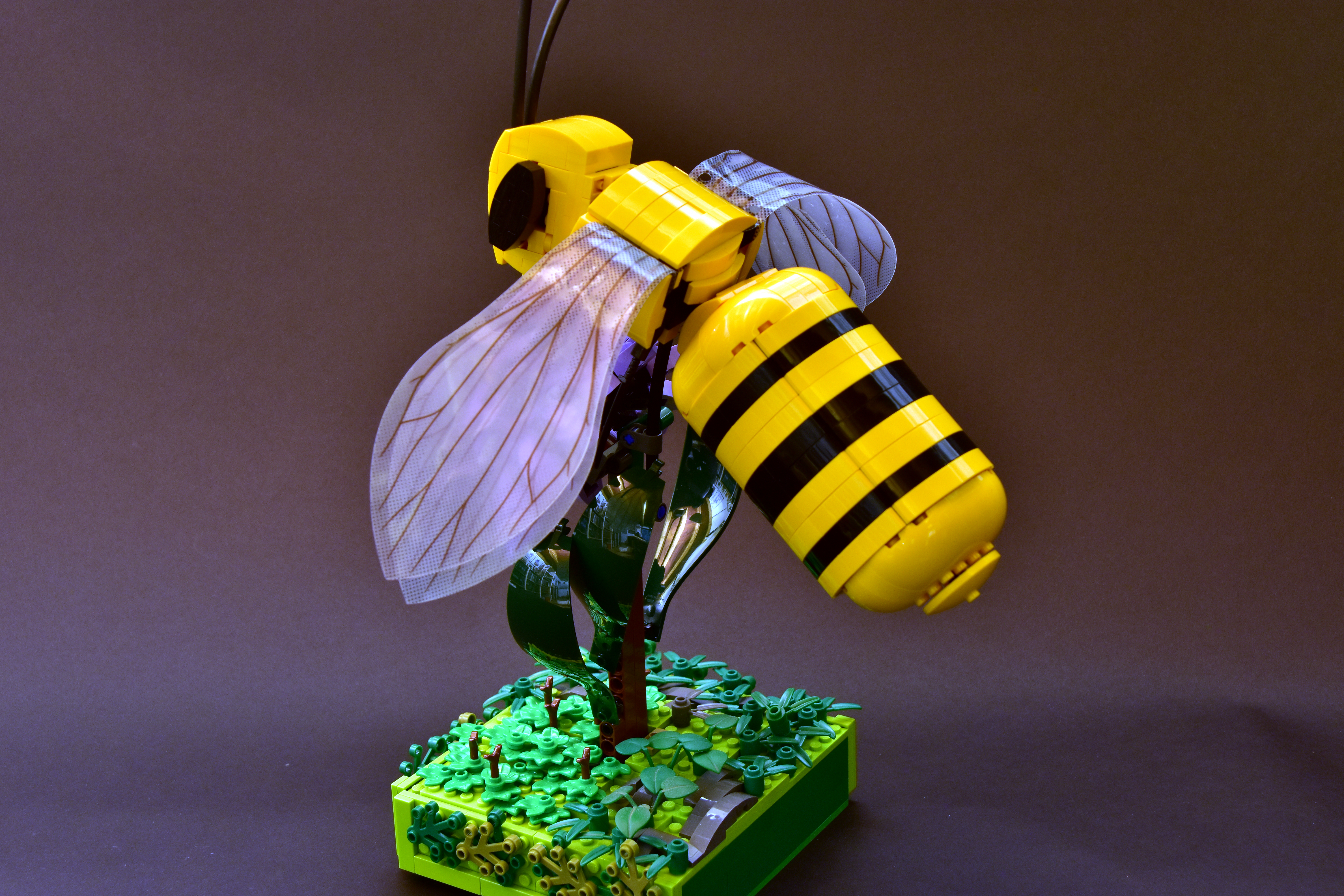 Bee_6_-_Copie__2_.JPG