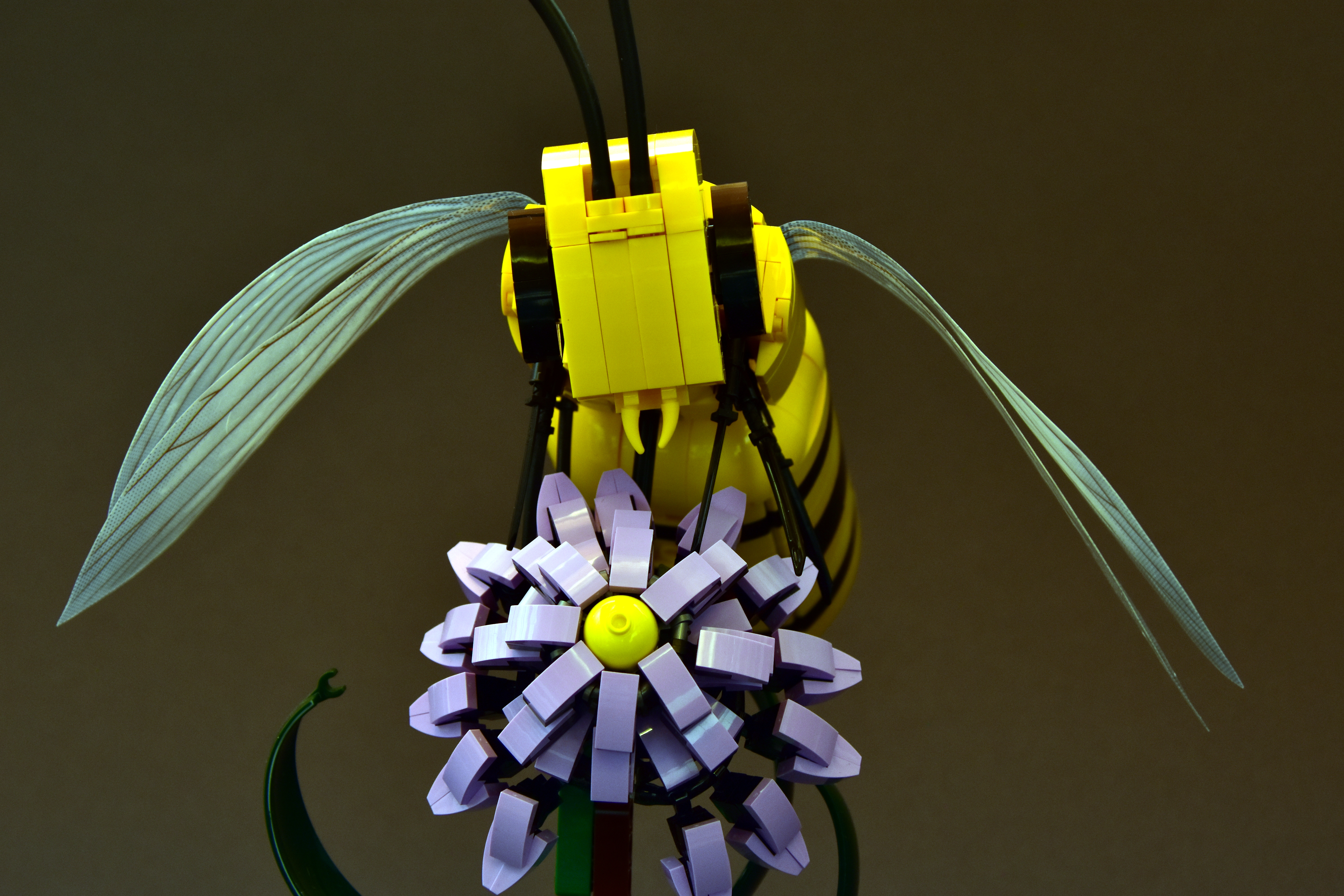 Bee_7.JPG