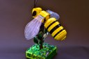 Bee_6_-_Copie__2_.JPG