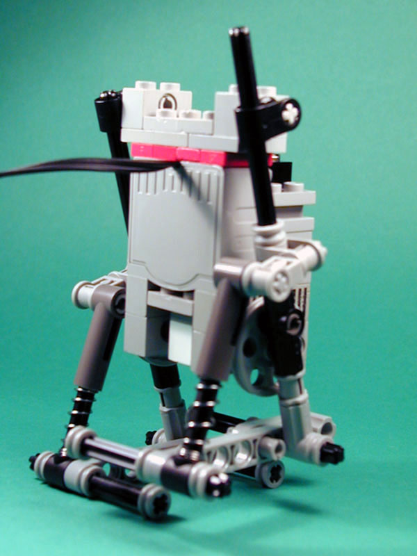 rear.jpg