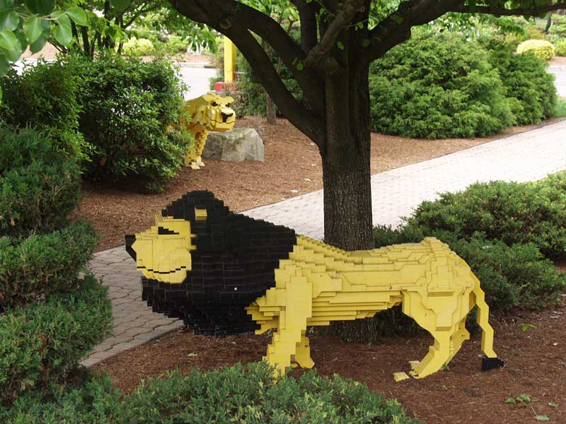 lions.jpg