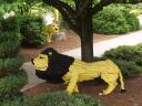 lions.jpg