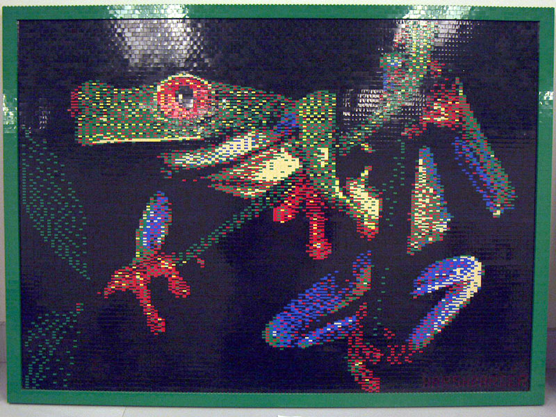frog.jpg