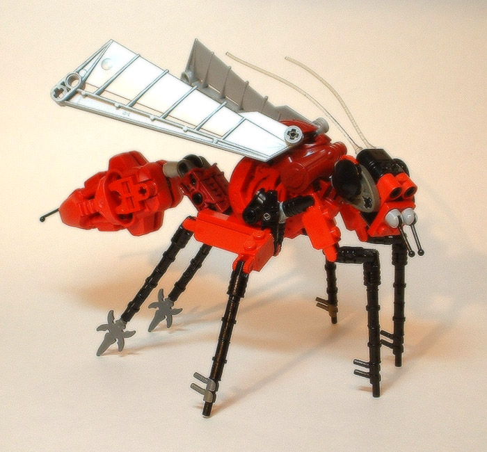 wasp1.jpg