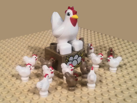 chicken_family.jpg